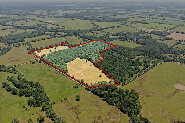 61 Acres of Recreational Land for Sale in De Kalb, Texas