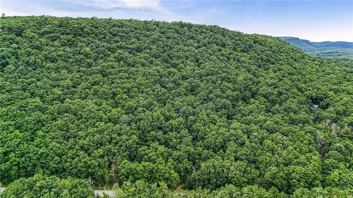 17.9 Acres of Recreational & Residential Land for Sale in Naples, New York