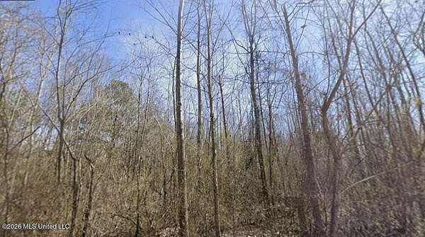 54.5 Acres of Recreational & Residential Land for Sale in Corinth, Mississippi