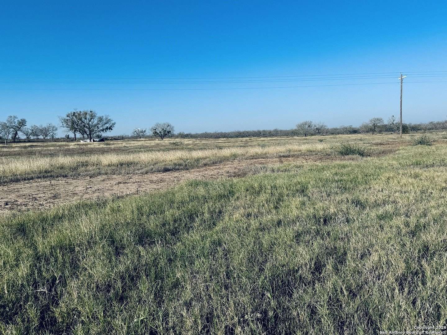 22 Acres of Agricultural & Residential Land for Sale in Pleasanton, Texas
