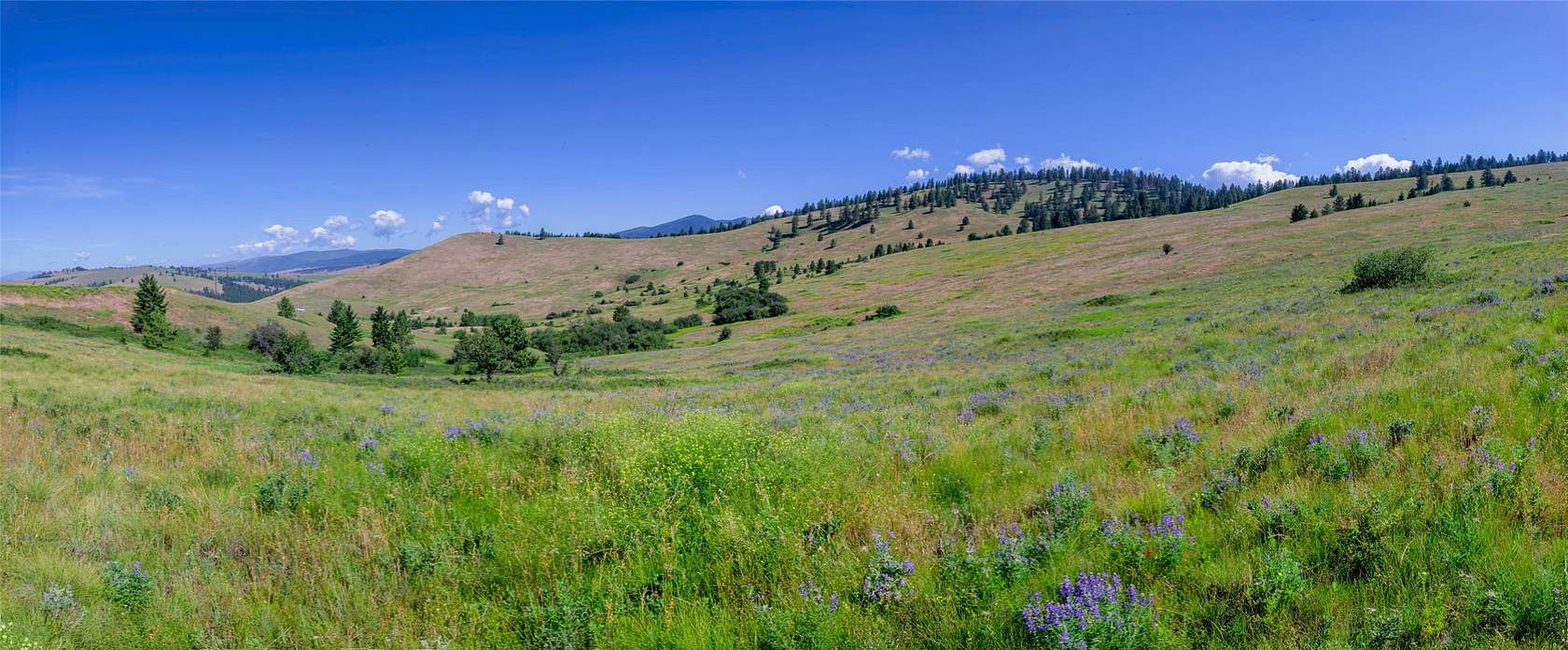 13.8 Acres of Land for Sale in Missoula, Montana