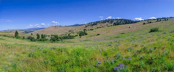 13.8 Acres of Land for Sale in Missoula, Montana