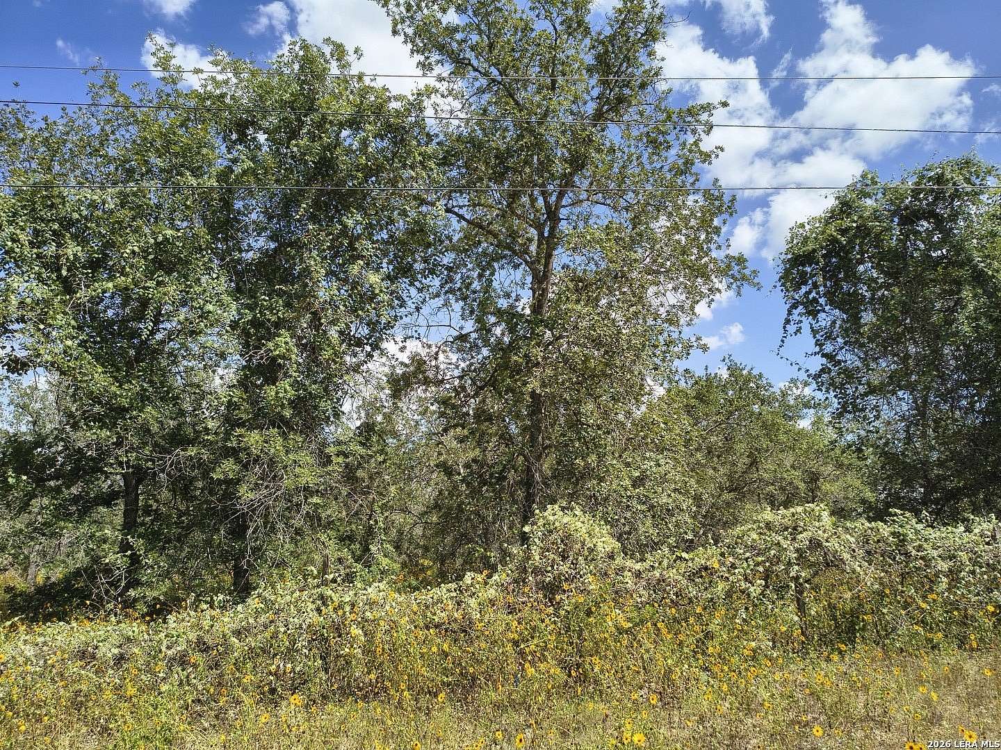1.6 Acres of Land for Sale in Elmendorf, Texas