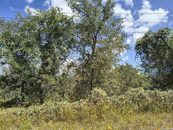 1.6 Acres of Land for Sale in Elmendorf, Texas