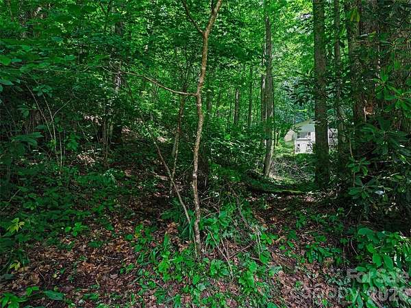 1 Acre of Land for Sale in Burnsville, North Carolina