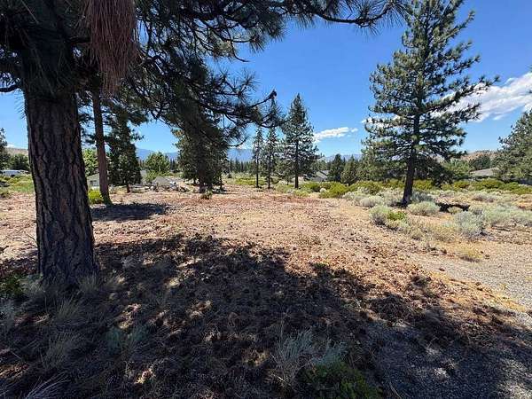 0.25 Acres of Land for Sale in Weed, California