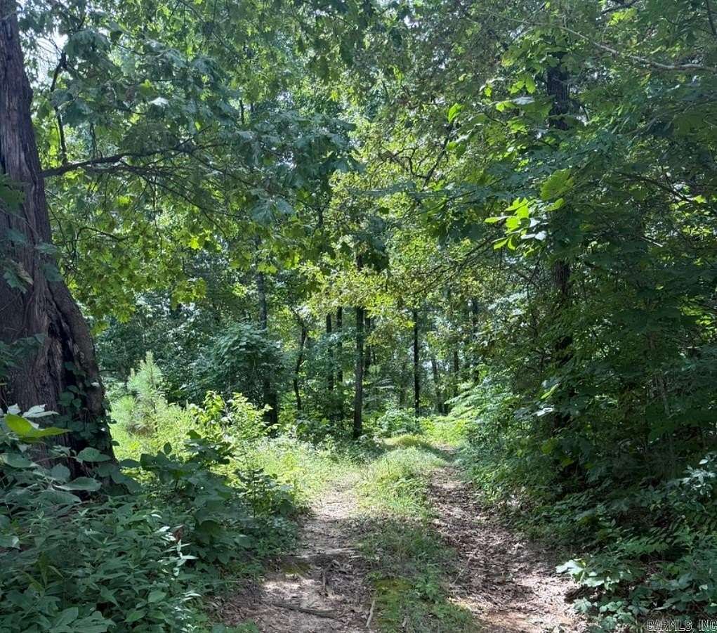 40 Acres of Recreational Land for Sale in Rector, Arkansas