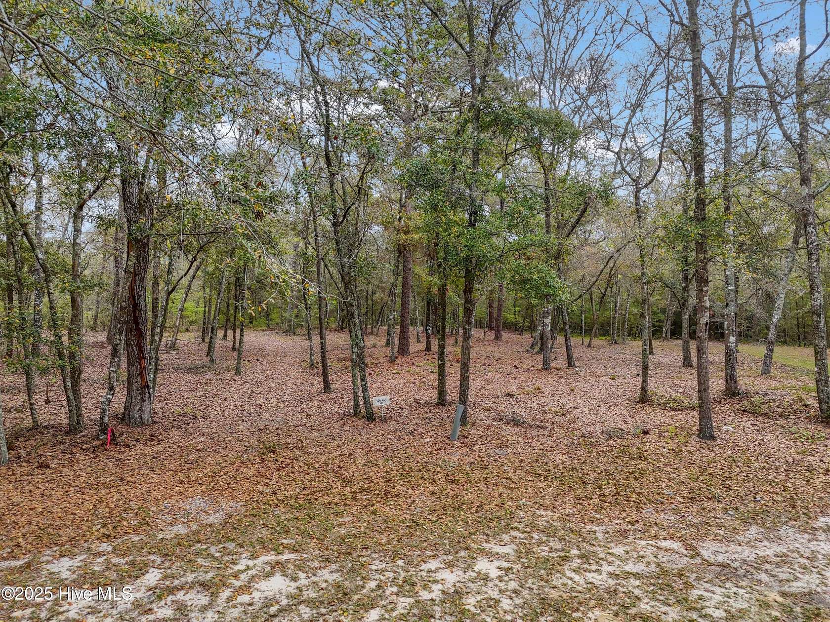 0.65 Acres of Residential Land for Sale in Supply, North Carolina