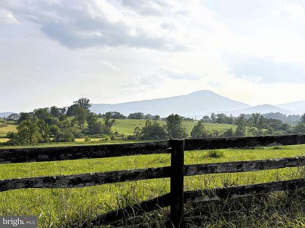 50.2 Acres of Agricultural & Residential Land for Sale in Flint Hill, Virginia