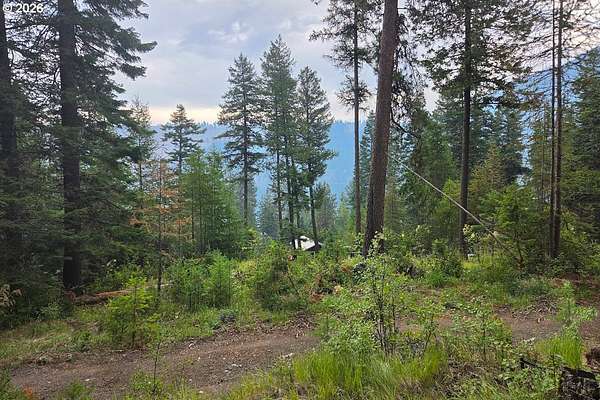 1.24 Acres of Residential Land for Sale in Joseph, Oregon