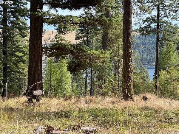 1.24 Acres of Residential Land for Sale in Joseph, Oregon