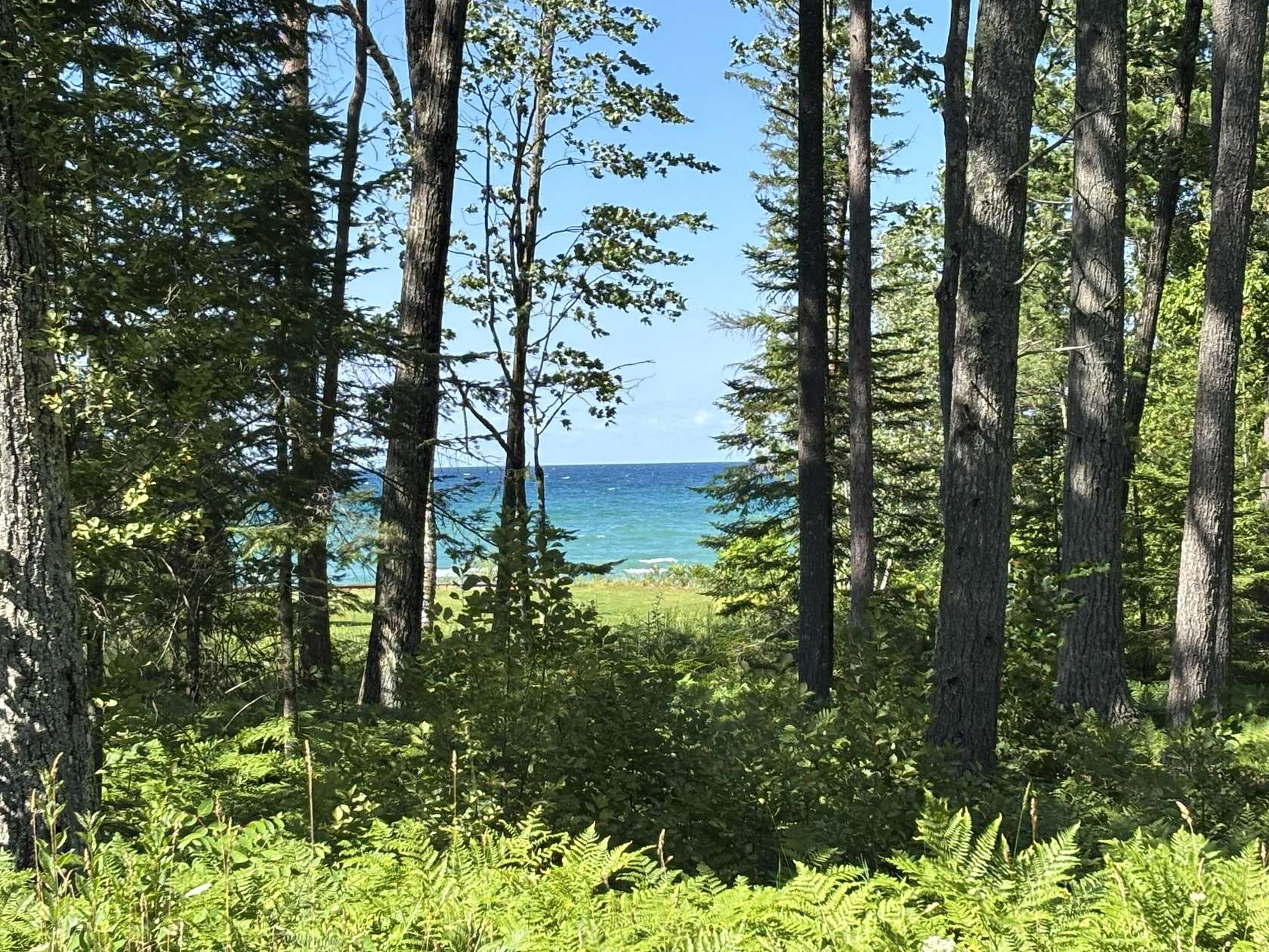 18 Acres of Recreational Land for Sale in Rogers City, Michigan