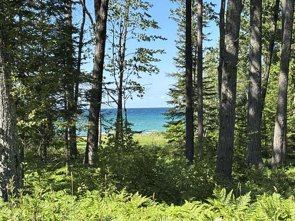 18 Acres of Recreational Land for Sale in Rogers City, Michigan