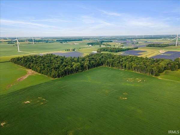 38.5 Acres of Recreational Land for Sale in Lynn, Indiana