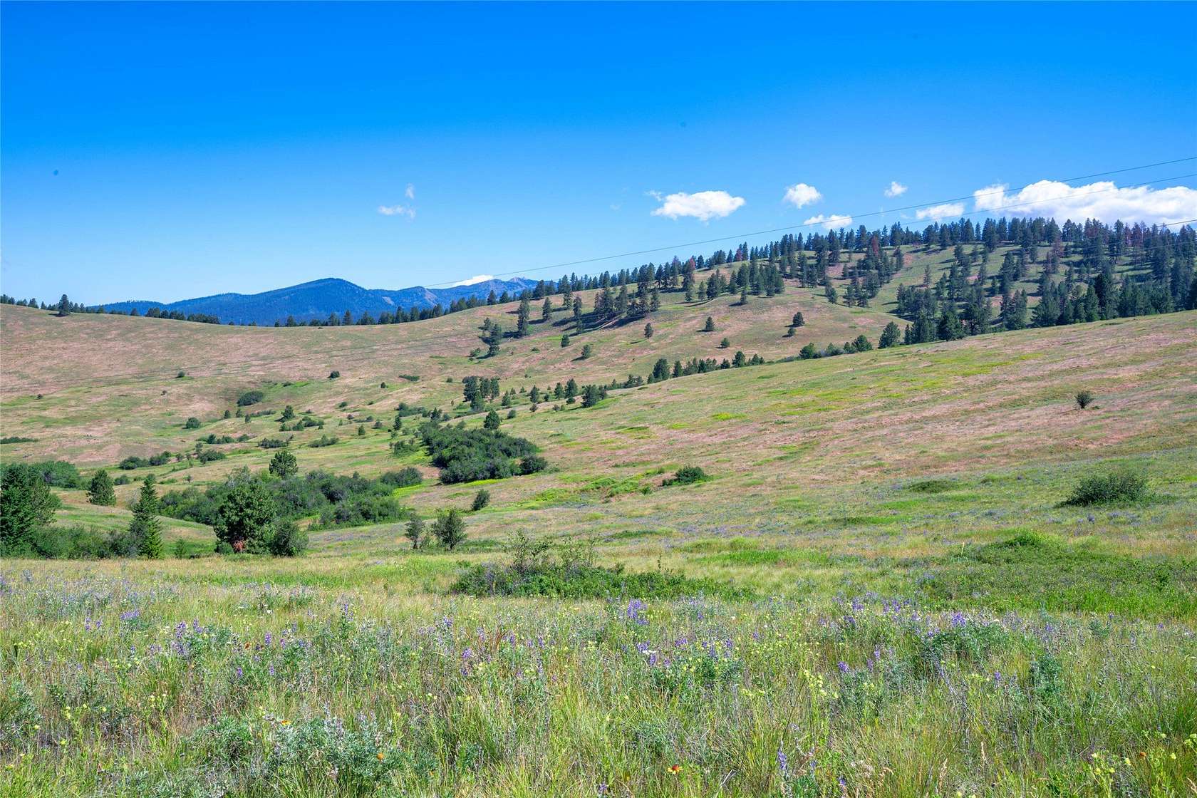 19 Acres of Recreational & Residential Land for Sale in Missoula, Montana
