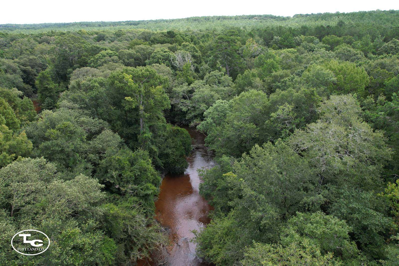 38.6 Acres of Land for Sale in Crestview, Florida