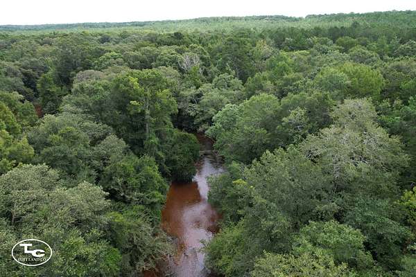 38.6 Acres of Land for Sale in Crestview, Florida