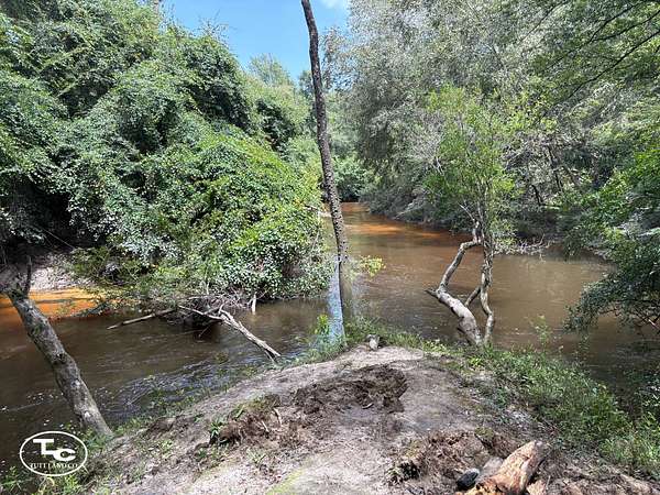38.6 Acres of Land for Sale in Crestview, Florida