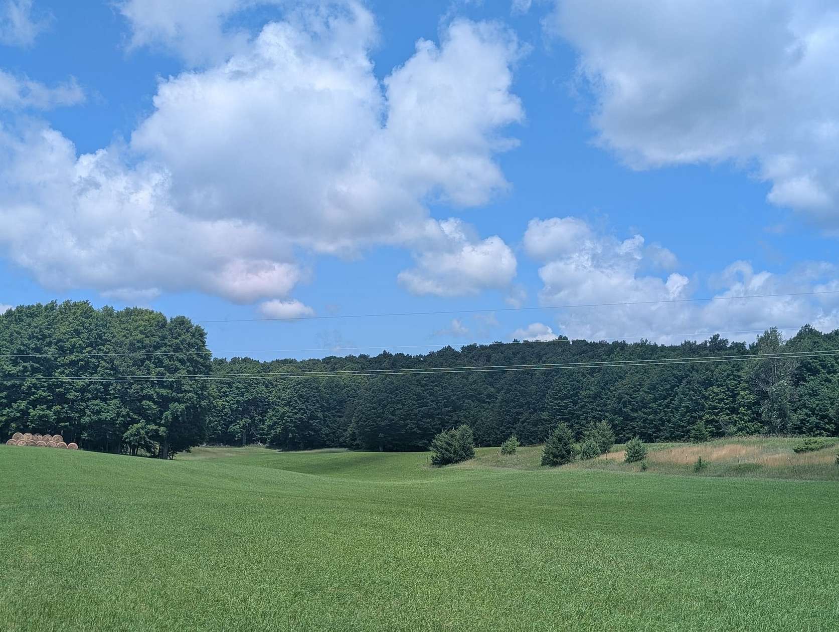 63 Acres of Land for Sale in Ellsworth, Michigan
