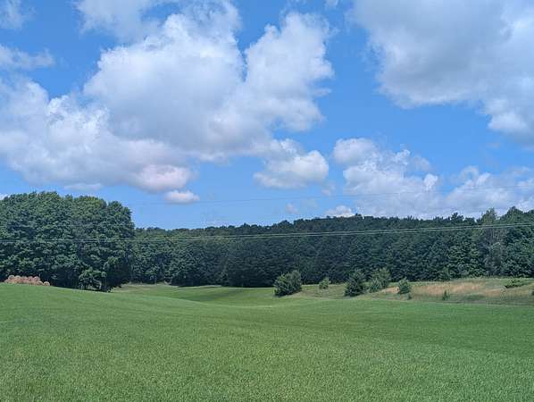 63 Acres of Land for Sale in Ellsworth, Michigan