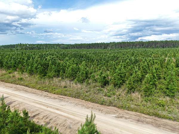 50.2 Acres of Recreational Land for Sale in White Oak, Georgia