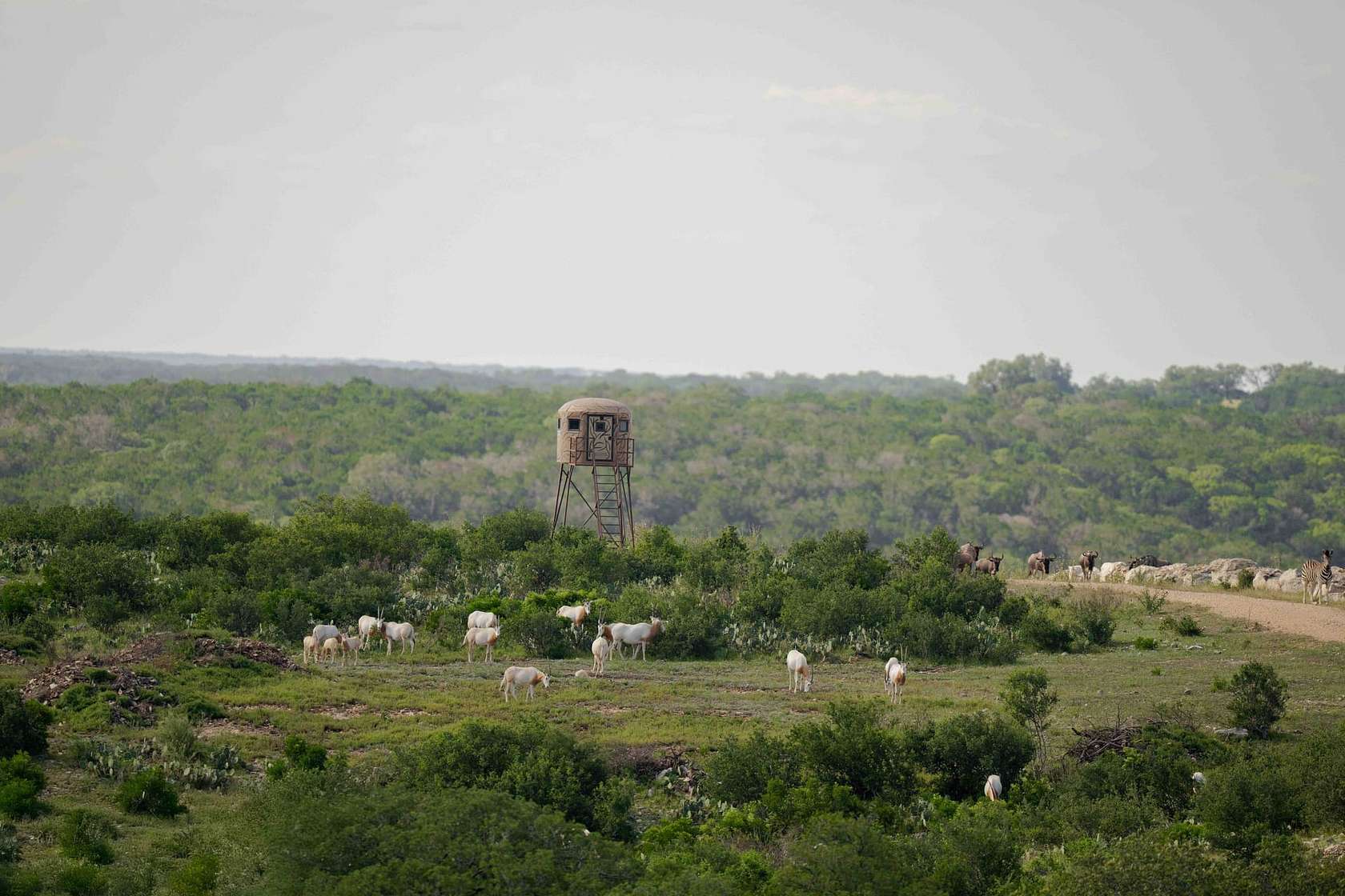 2,120 Acres of Land for Sale in Leakey, Texas