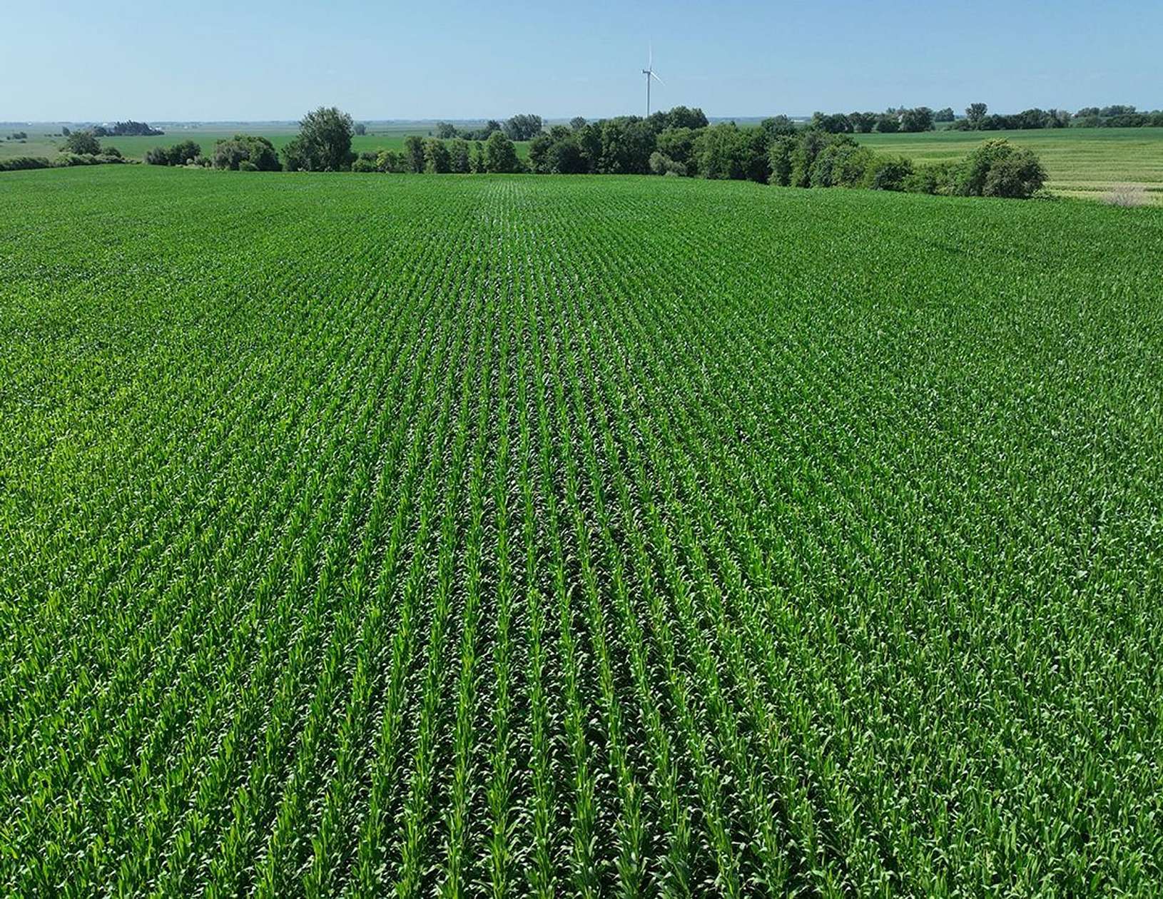 356 Acres of Land for Sale in East Paw Paw, Illinois