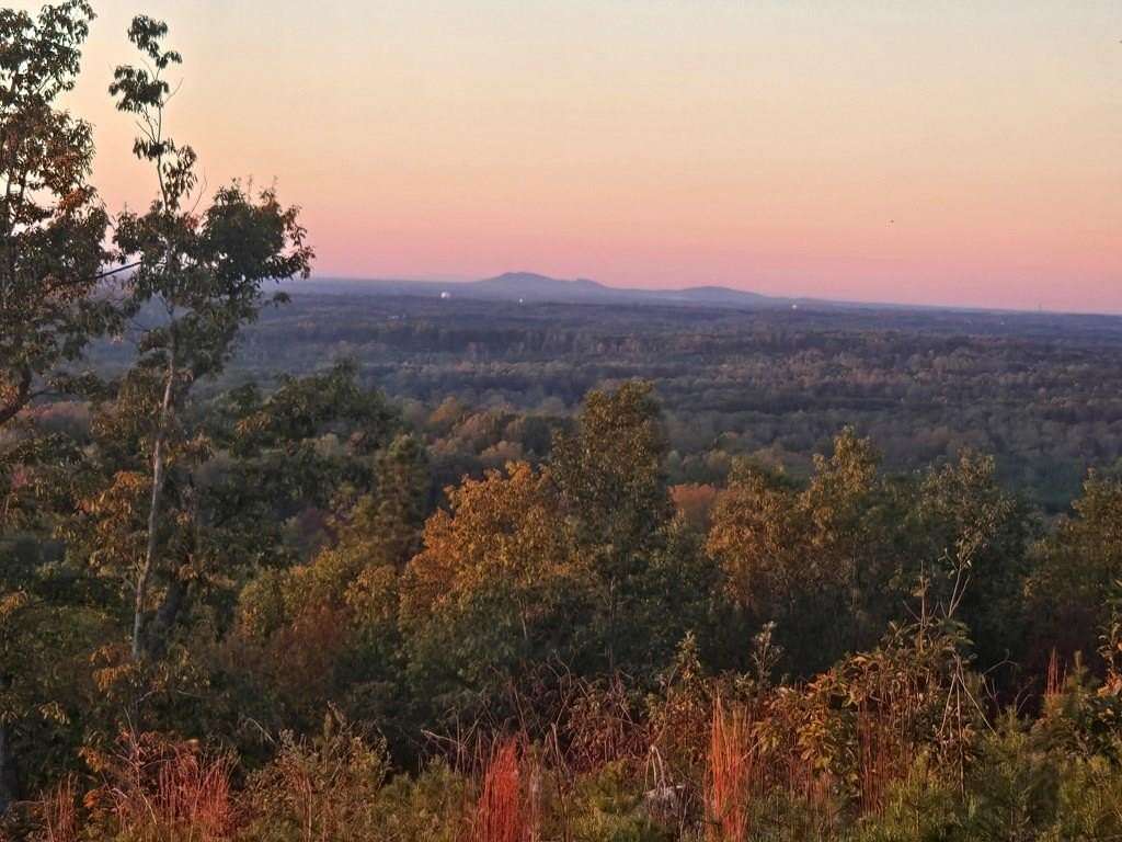 42.3 Acres of Land for Sale in Green Bay, Virginia