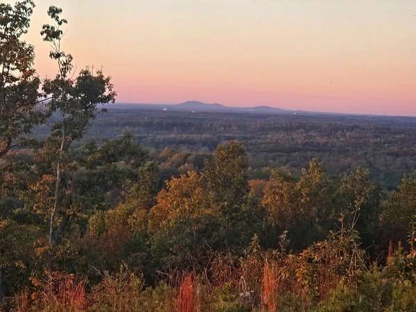 42.3 Acres of Land for Sale in Green Bay, Virginia