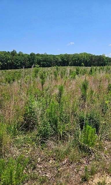 47.2 Acres of Recreational & Residential Land for Sale in Lunenburg, Virginia