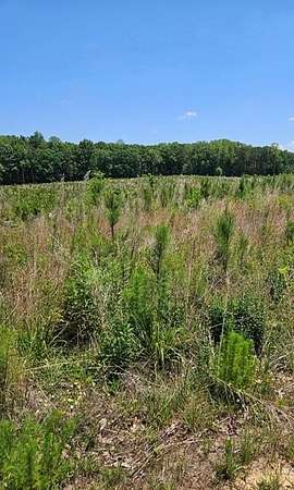 47.2 Acres of Recreational & Residential Land for Sale in Lunenburg, Virginia