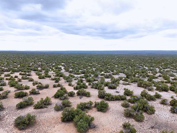 2.5 Acres of Residential Land for Sale in St. Johns, Arizona