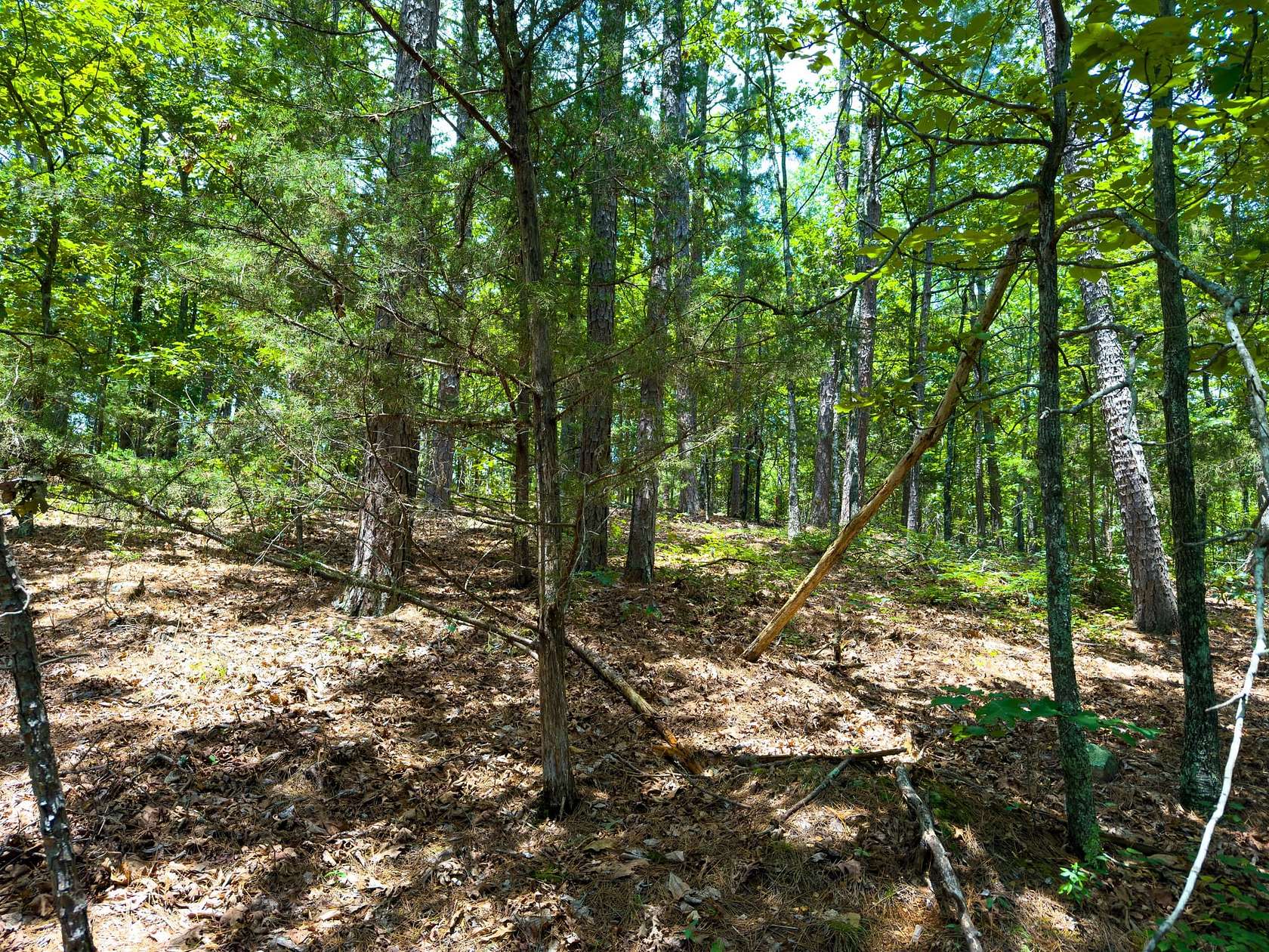 1.22 Acres of Land for Sale in Shirley, Arkansas