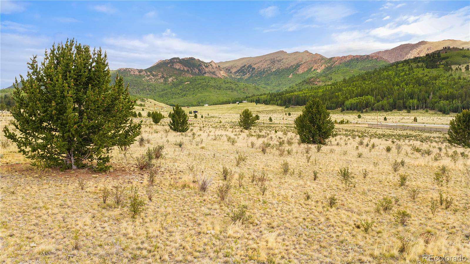 26 Acres of Land for Sale in Divide, Colorado