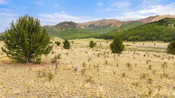 26 Acres of Land for Sale in Divide, Colorado