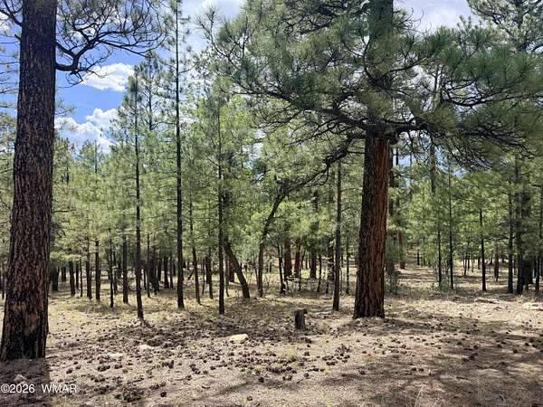 0.98 Acres of Residential Land for Sale in Happy Jack, Arizona