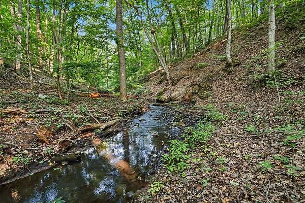 80 Acres of Recreational Land for Sale in Delton, Michigan