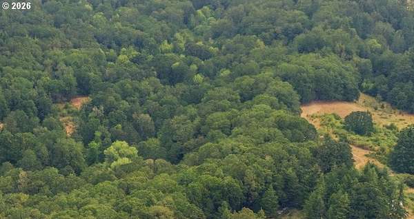 8.4 Acres of Land for Sale in Sheridan, Oregon