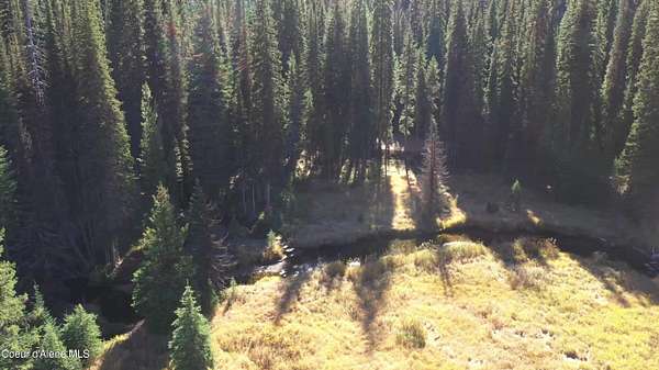 49.8 Acres of Recreational & Residential Land for Sale in Lowell, Idaho
