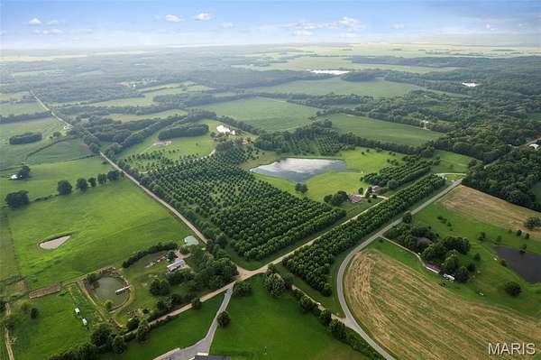100 Acres of Improved Agricultural Land for Sale in Puxico, Missouri