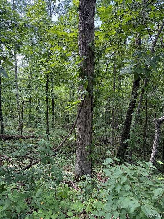 0.17 Acres of Residential Land for Sale in Wappapello, Missouri