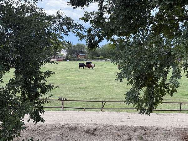 2 Acres of Land for Sale in Pima, Arizona