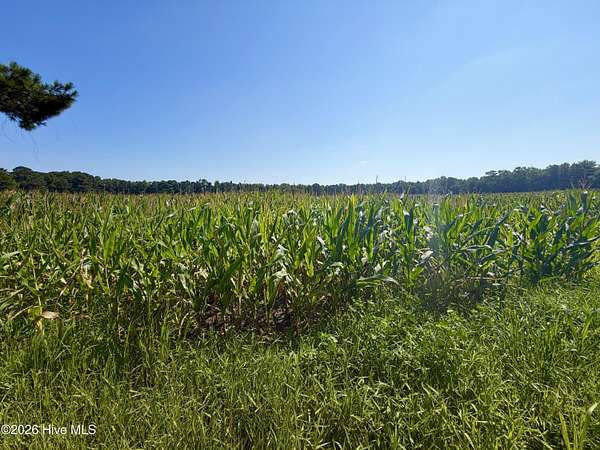 65 Acres of Agricultural & Residential Land for Sale in Beulaville, North Carolina