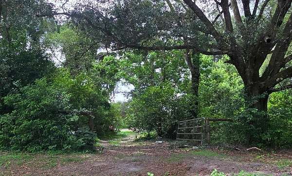 4.75 Acres of Land with Home for Sale in Eustis, Florida