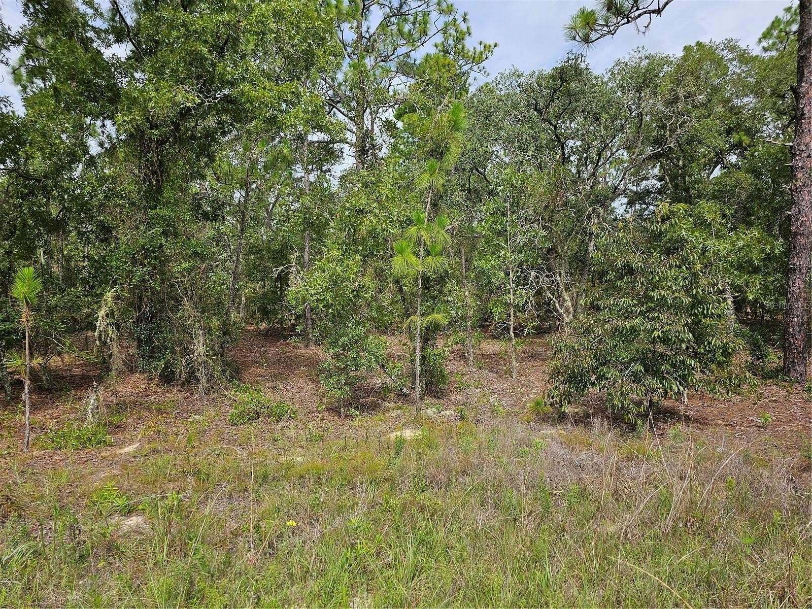 1.16 Acres of Residential Land for Sale in Dunnellon, Florida