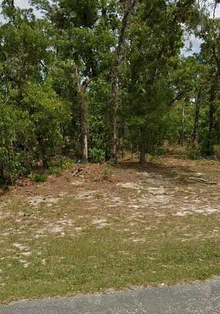0.24 Acres of Residential Land for Sale in Dunnellon, Florida