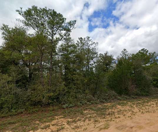 1.33 Acres of Residential Land for Sale in Marianna, Florida