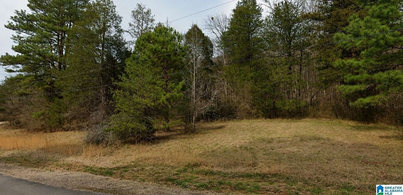 5.25 Acres of Residential Land for Sale in Springville, Alabama