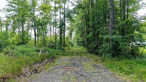 50 Acres of Recreational Land for Sale in Kinsman, Ohio