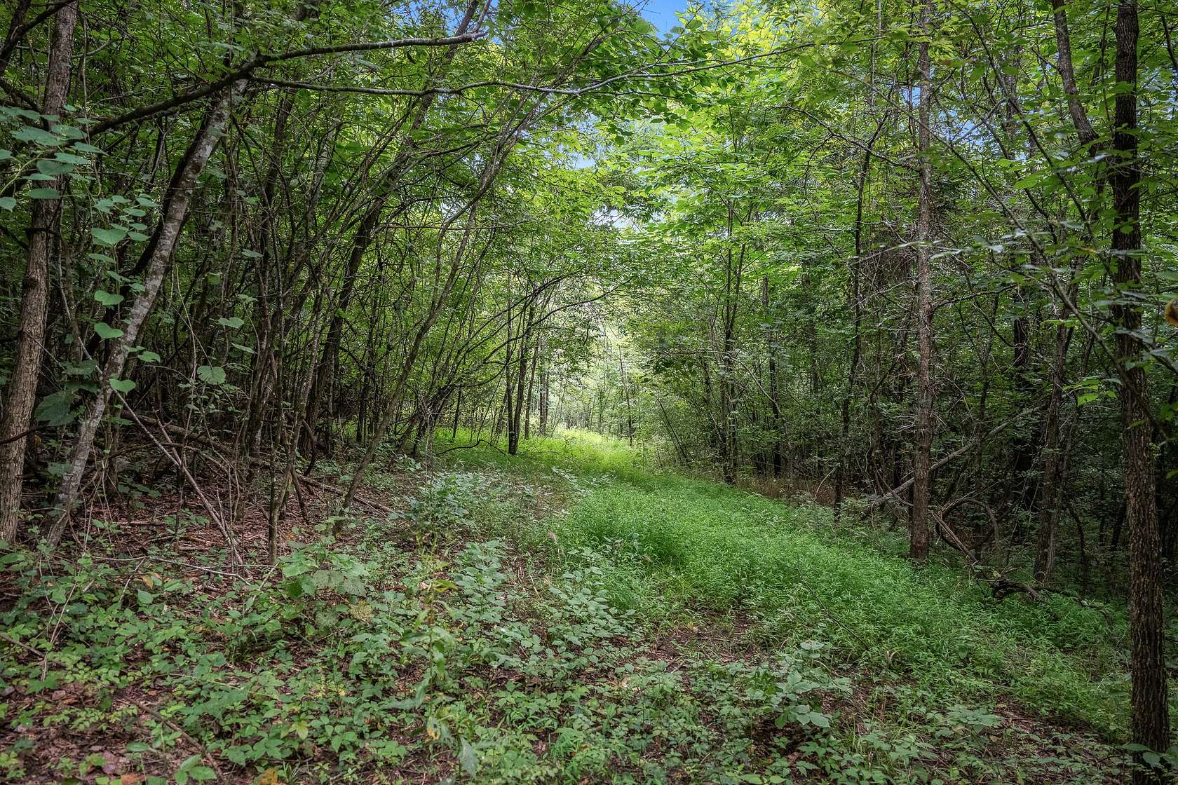 4.77 Acres of Residential Land for Sale in Shelbyville, Tennessee